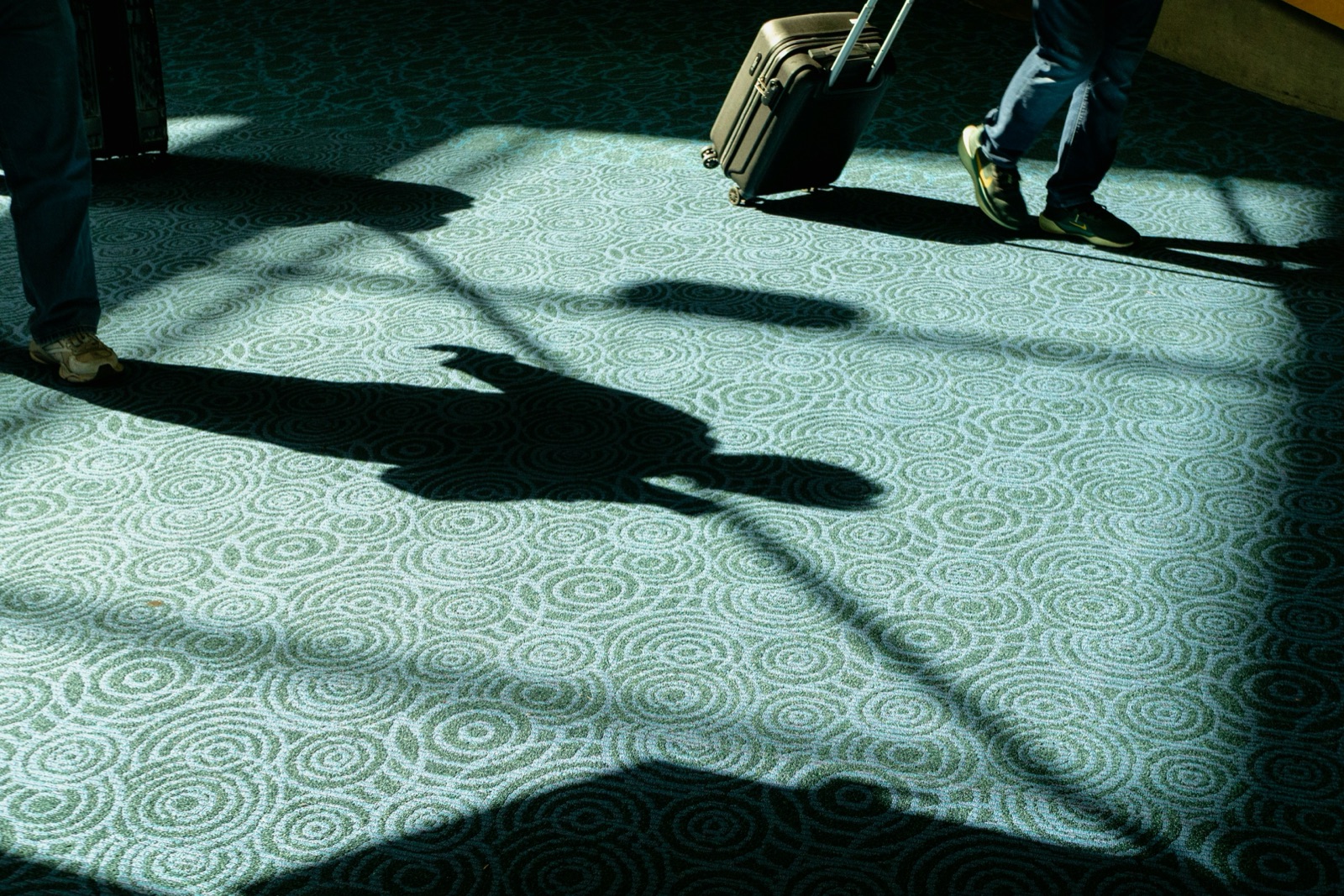 Raking daylight across patterned commercial carpet in a transport concourse